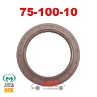 Семеринг 75x100x10